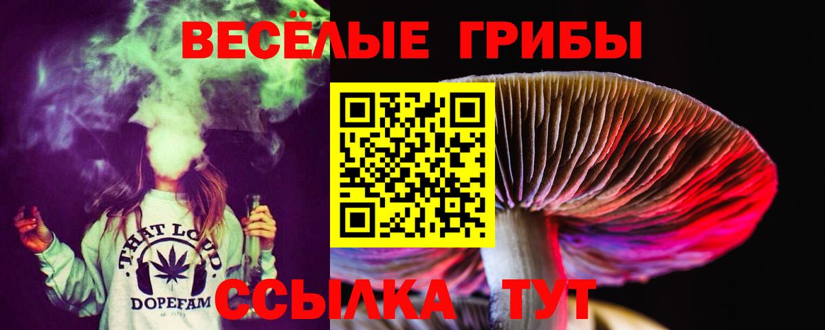 Псилоцибиновые грибы мицелий Сердобск